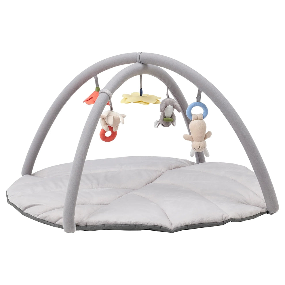 Infant gyms store